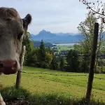 Alpenblick 12 Apartment *