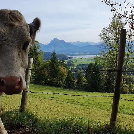 Alpenblick 12, Erholung Pur Im Allgaeu Апартаменты *