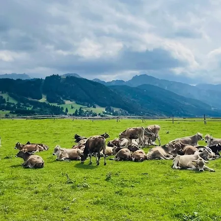 Alpenblick 12, Erholung Pur Im Allgaeu Апартаменты *
