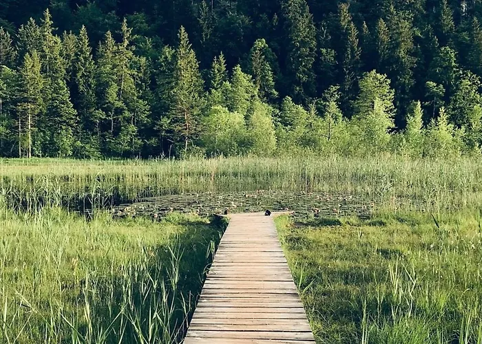 Alpenblick 12, Im Allgäu, Bergblick Pur - Neueröffnung! *