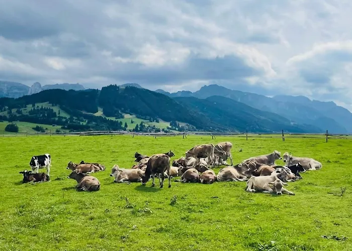 Alpenblick 12, Im Allgäu, Bergblick Pur - Neueröffnung! Apartment *