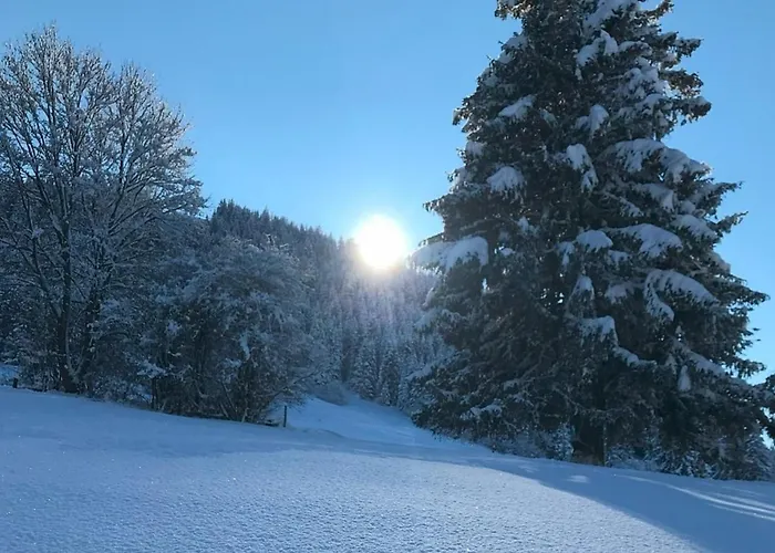 Alpenblick 12, Im Allgäu, Bergblick Pur - Neueröffnung! Apartment *